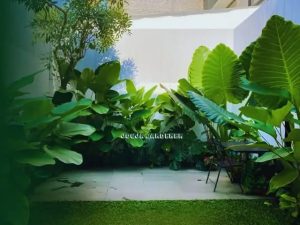 Jasa Taman Terbaik Jogja