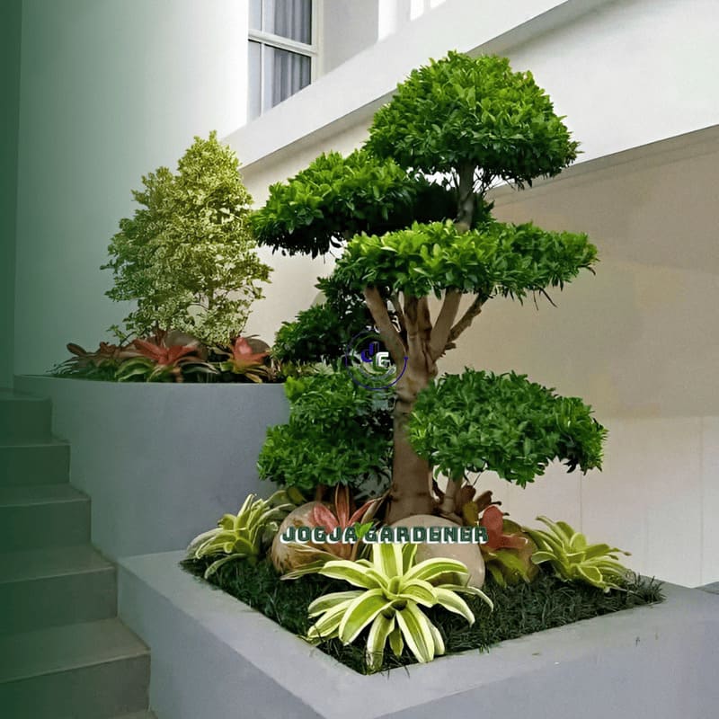 Pembuatan Taman Minimalis