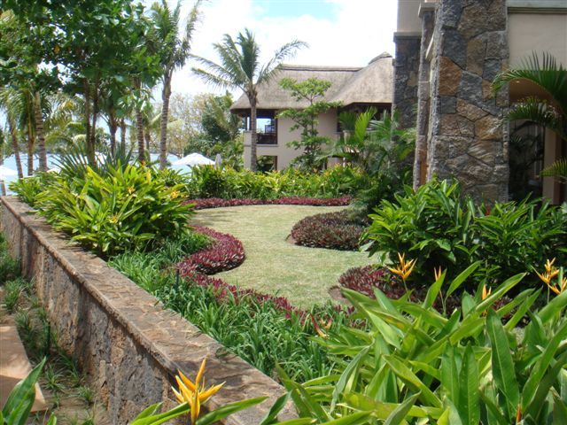 Jenis Tanaman Untuk Taman Tropis