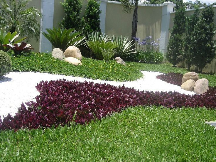 5 Rekomendasi Jenis Tanaman Untuk Taman Tropis 3 Jenis Tanaman Untuk Taman Tropis