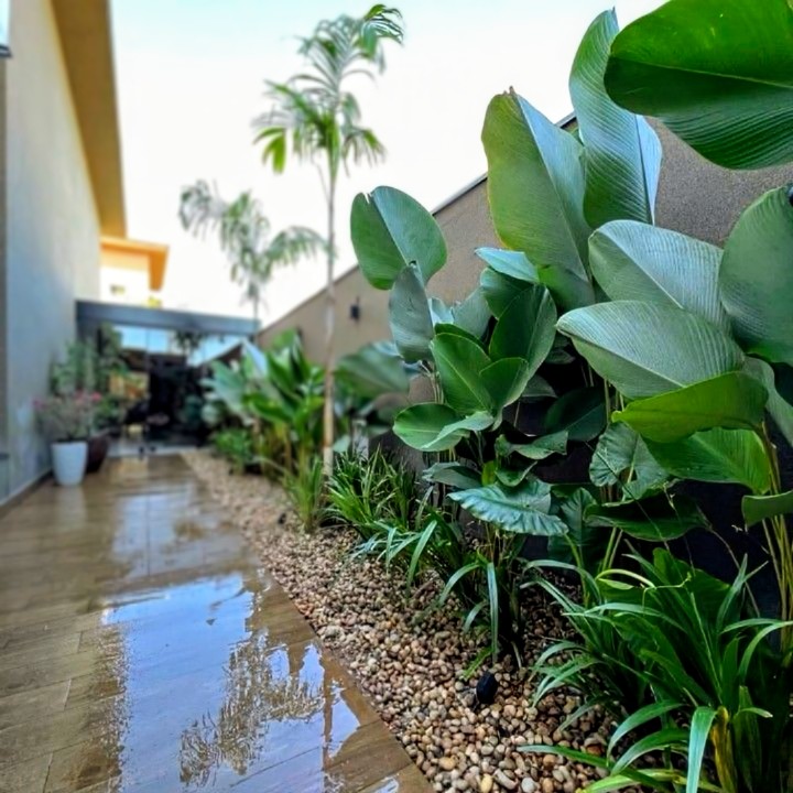 Pembuatan Taman Tropis