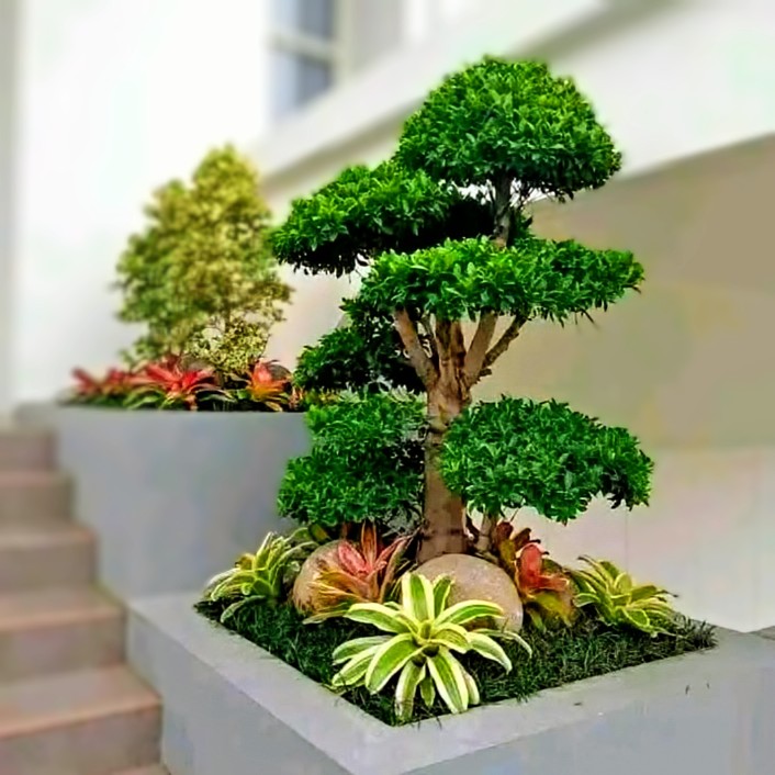 pembuatan taman minimalis