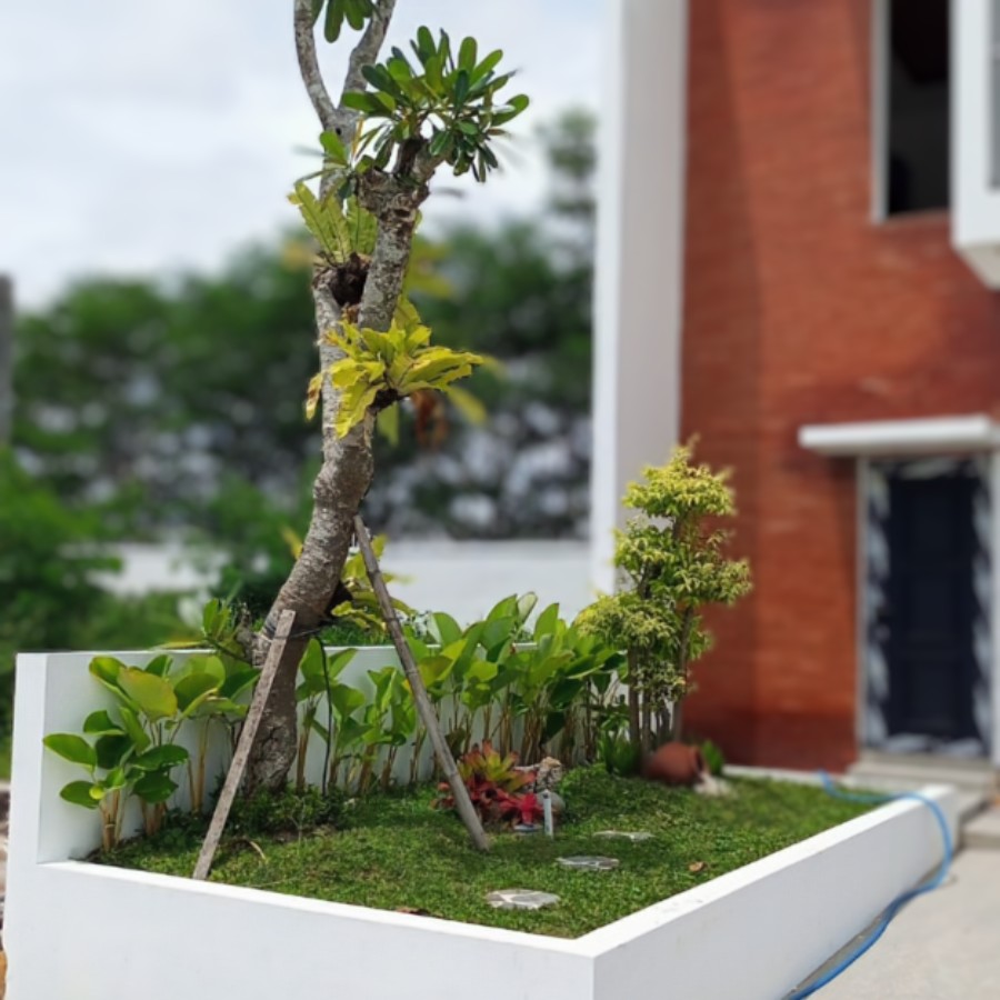 Tukang Taman Yogyakarta