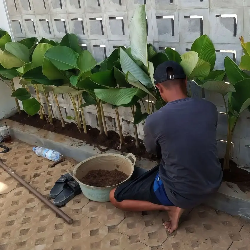 Jasa Taman Yogyakarta