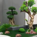 Jenis Tanaman Bonsai Untuk Taman