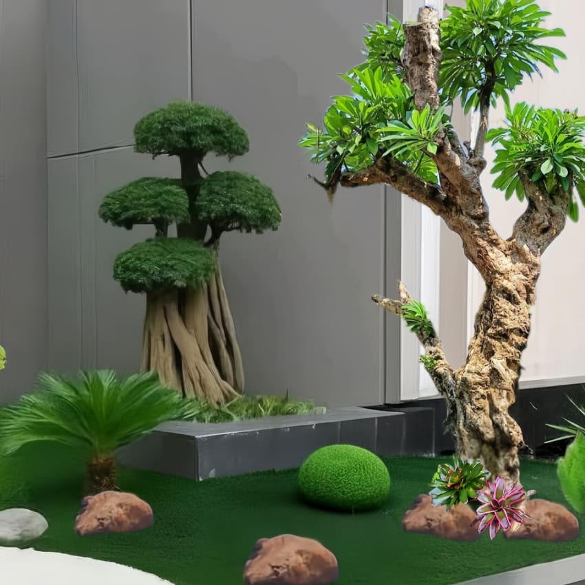 Jenis Tanaman Bonsai Untuk Taman